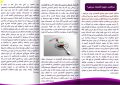 پمفلت با عنوان: مذاکره، داروی اقتصاد مریض؟ …