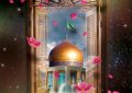 امشب تمام شهر، عطر رضوی گرفته… میلاد امام رضا (ع) مبارک.
